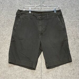 American Eagle Outfitters Gray Flat Front Shorts